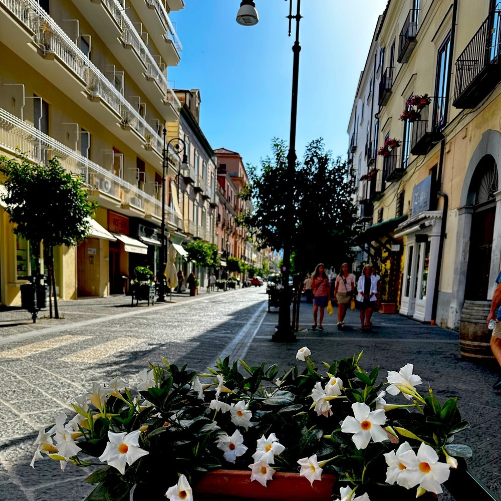 Meet your Posher, Cat M